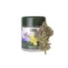 BUY JET LAG OG SEEDS