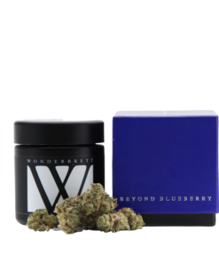 BEYOND BLUEBERRY
