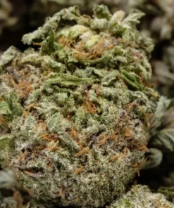 Alternative view of Buy Pink Panties Strain