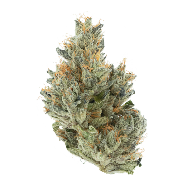 Buy Blewtooth Weed Strain - Image 4