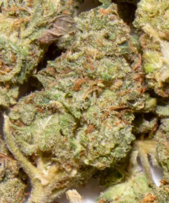 Alternative view of Buy Rainbow Gelato Strain