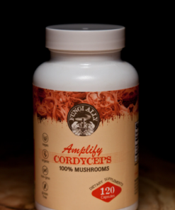 Buy Amplify Cordyceps Capsules Online (120 Count)