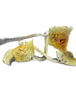 Buy B+ Cubensis Dried Magic Mushrooms Online