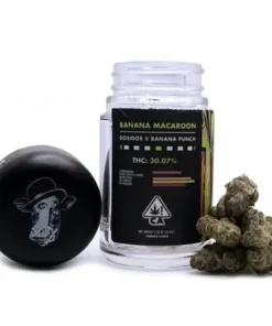 Buy Banana Macaroon Kush