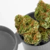 Buy AK-47 Weed Strain