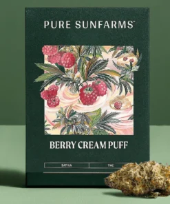 Buy Berry Cream Puff Weed