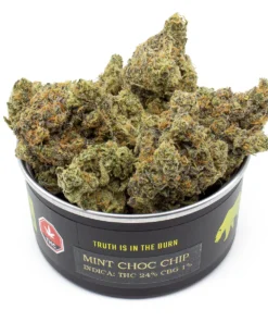 Buy Mint Chocolate Chip Weed
