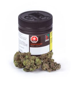 Buy Sunset Sherbet Weed