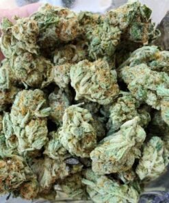 Alternative view of Buy White Widow Strain