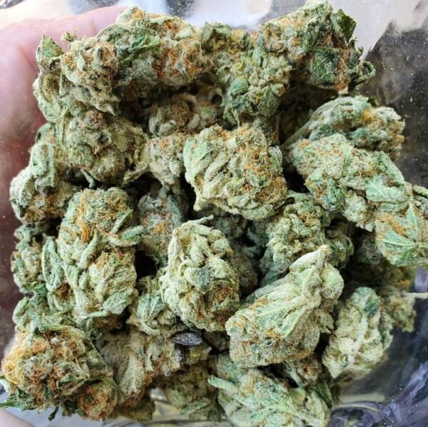 Buy White Widow Strain - Image 2