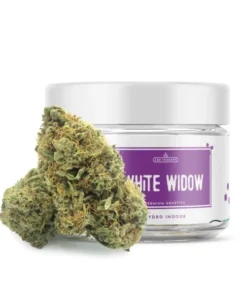 Buy White Widow Strain