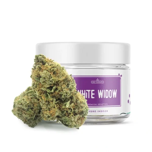Buy White Widow Strain
