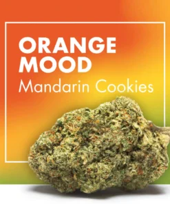 Buy mandarin cookies weed