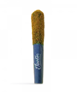 Churros Infused Pre-Roll 5-pack | 2.5g