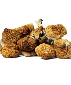 Daddy Long Legs Dried Magic Mushrooms Online