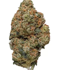 Alternative view of double diesel Weed Strain