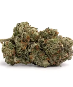 Buy G13 Cannabis Strain