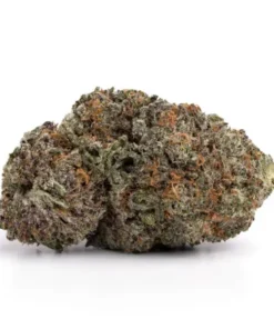 Buy God’s Green Crack