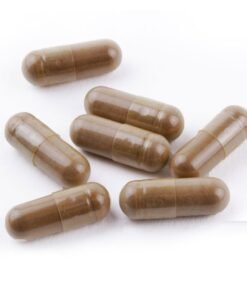 Golden Teacher Lion’s Mane Capsules