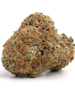 Buy Frostbite Cannabis Strain