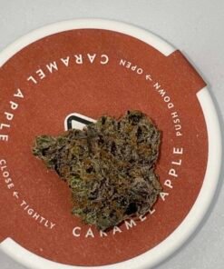 Alternative view of BUY CARAMEL APPLE (HYBRID)