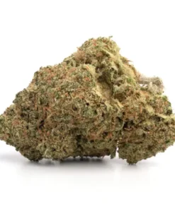 Buy Ice Cream Weed Strain