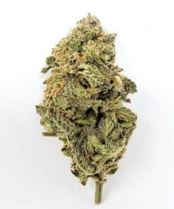 Alternative view of DIME BAG ISLAND HAZE
