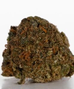 Alternative view of Buy Jean Guy Strain Weed