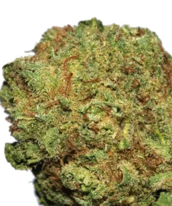 Alternative view of Dutch Berry weed strain