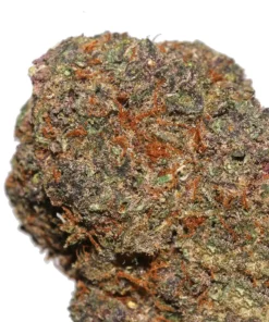 Alternative view of Buy Tropicana Marijuana Strain