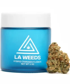 Buy Motorbreath Marijuana Strain