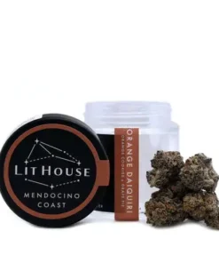 Orange Daiquiri Hybrid Cannabis Strain