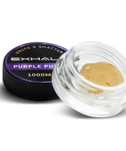 Shatter – Purple Punch