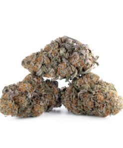 Alternative view of Buy Purple Punch Weed