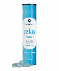 Wonder | Relax 1:2 Blueberry Mini Troches [40pk]