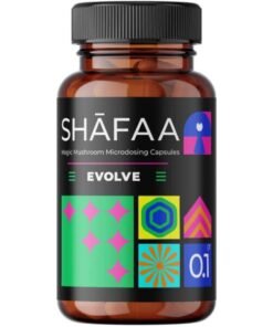 Buy Shafaa Evolve Cognition Capsules Online