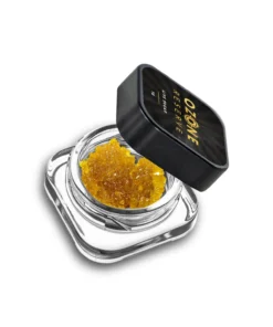 Sherbert Live Sugar