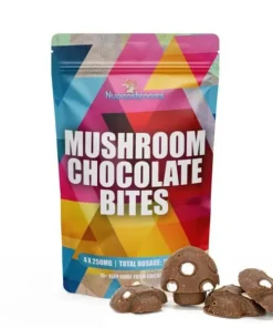 Mushroom Infused Chocolate Bites
