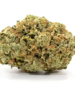 Buy Sunset Sherbet Online