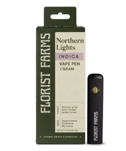 Northern LIghts | Rechargeable Vape | 1 g