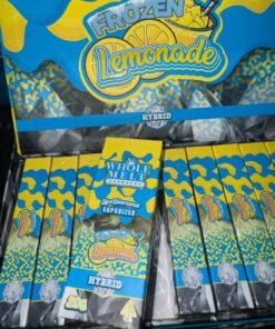 Whole Melt Frozen Lemonade