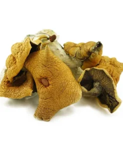 Wallonggong Dried Magic Mushrooms Online