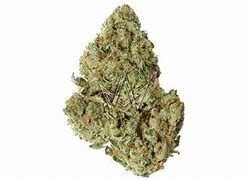 Buy XENO Marijuana Strain