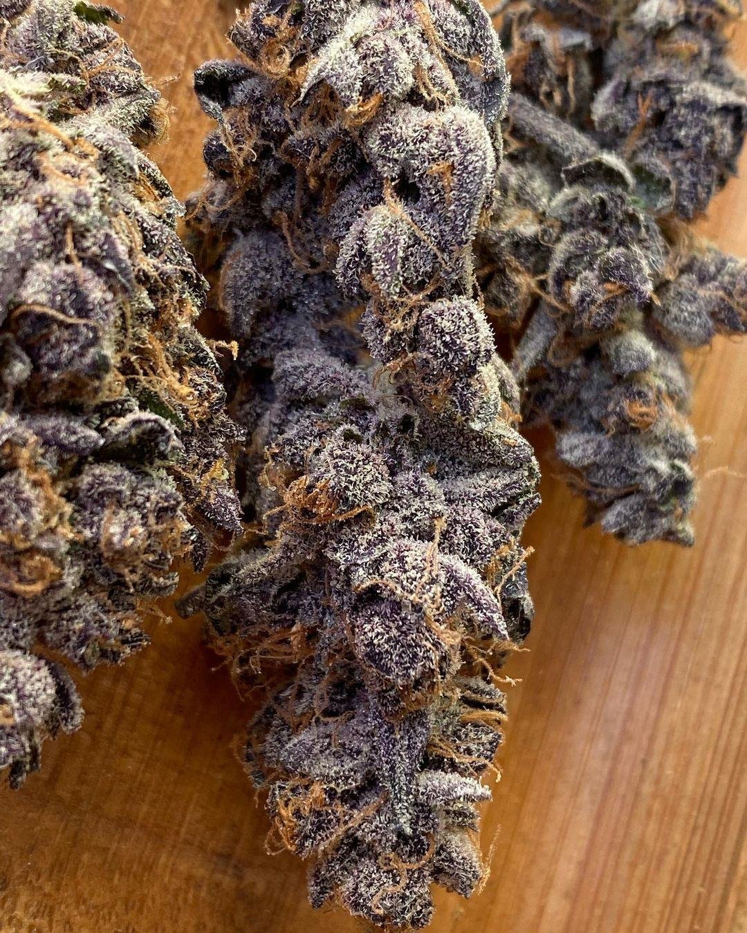 Zours Runtz Weed Strain - Image 3