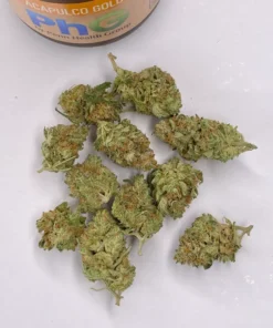 Alternative view of Buy Acapulco Gold Weed Strain