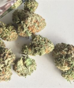 Alternative view of Black Berry Cream Weed strain