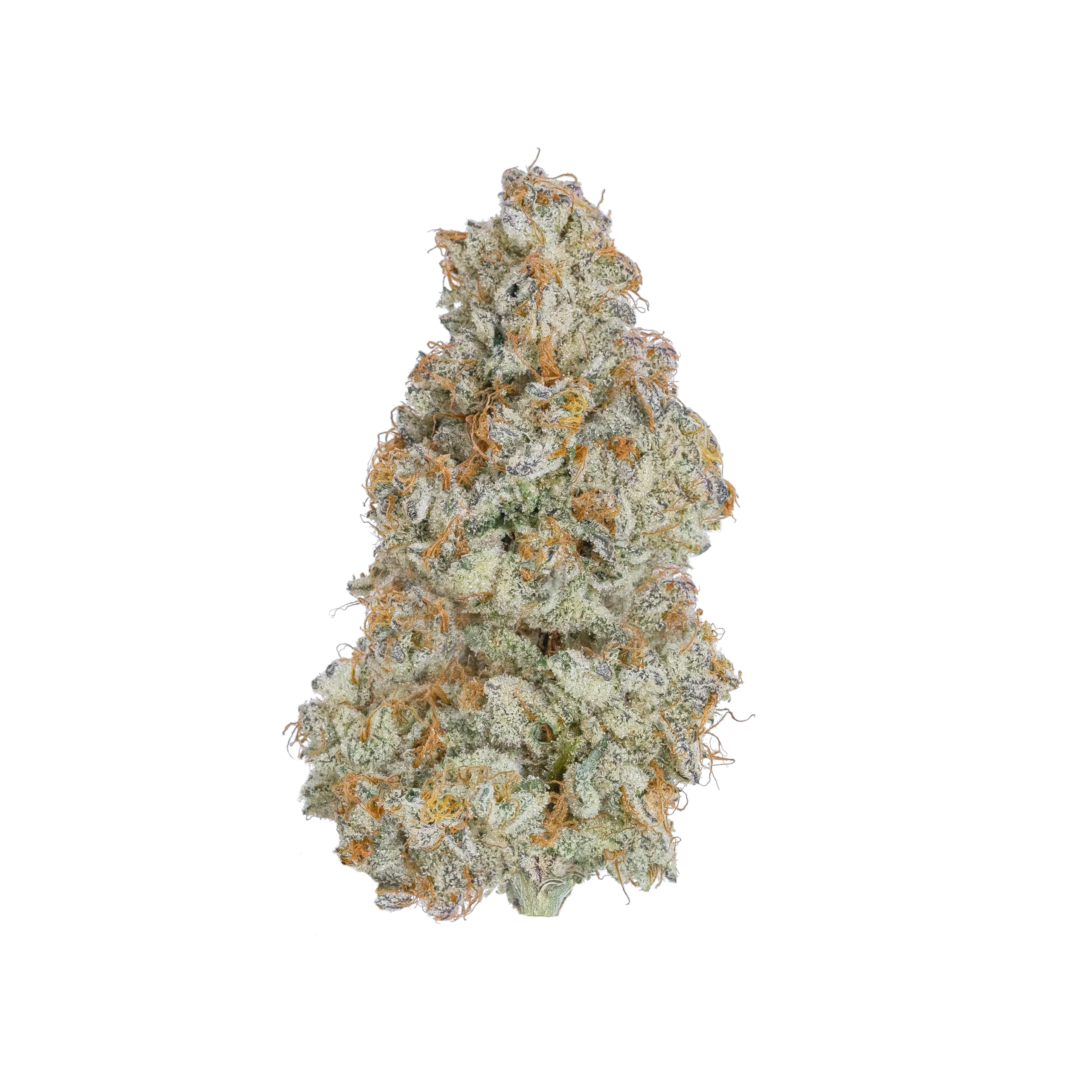 CEREAL MILK STRAIN - Image 2