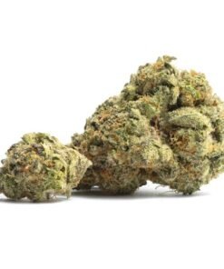 Alternative view of Buy Kush Cookies Weed Strain