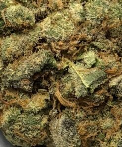 Alternative view of Buy Sugar Cookies Strain