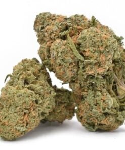 Buy Durban Poison Weed Strain